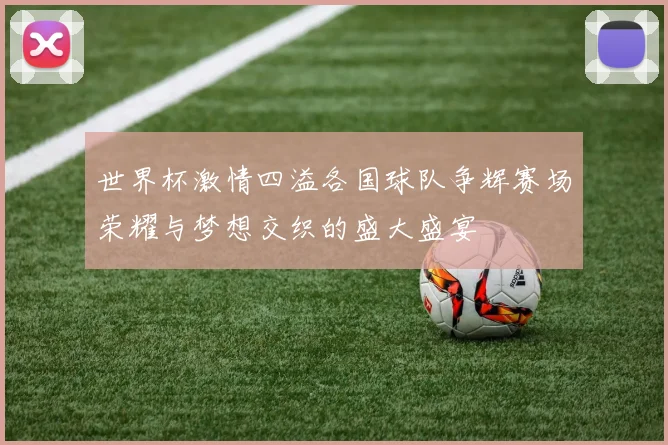 世界杯激情四溢各国球队争辉赛场荣耀与梦想交织的盛大盛宴