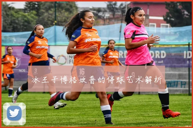 冰王子博格坎普的停球艺术解析