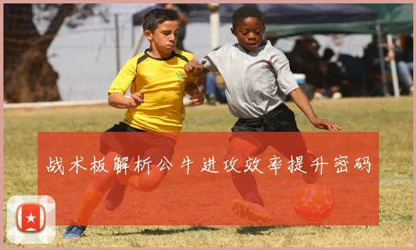 战术板解析公牛进攻效率提升密码