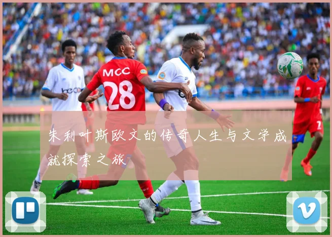 朱利叶斯欧文的传奇人生与文学成就探索之旅