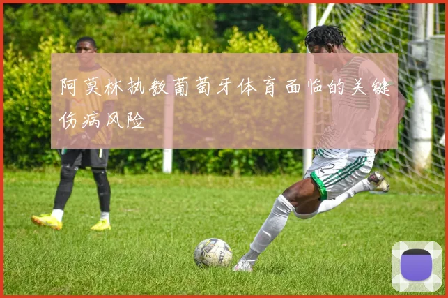 阿莫林执教葡萄牙体育面临的关键伤病风险